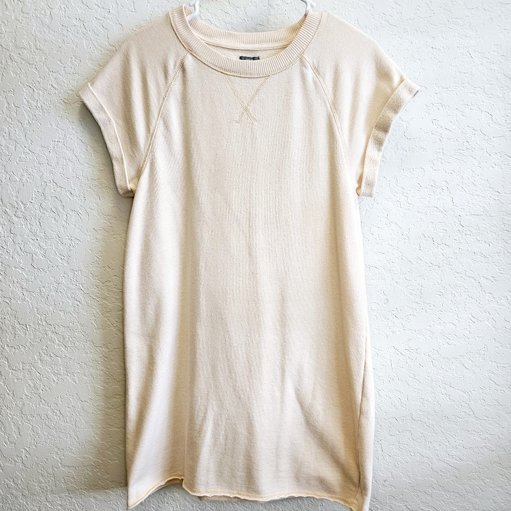 Aerie sweatshirt dress